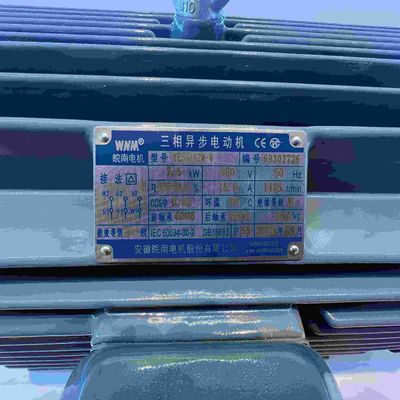 High Voltage Three Phase Electric Motors 6KV High Efficient