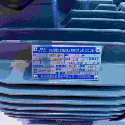 8KV Three Phase Electric Motors High Voltage Explosion Proof