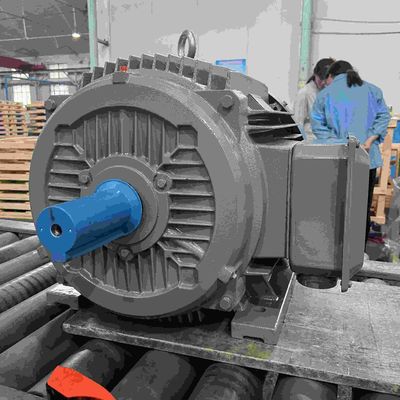 Three Phase Explosion Proof High Efficiency Electrical Motor For Coal Mine