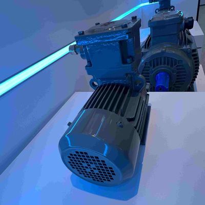 3450 Rpm Medium Voltage Induction Motor High Efficient ROHS